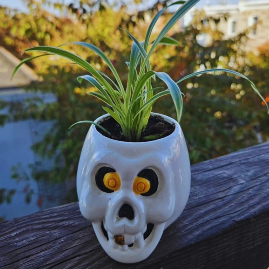 October Plant & Planter Workshop with Clay and Sprouts